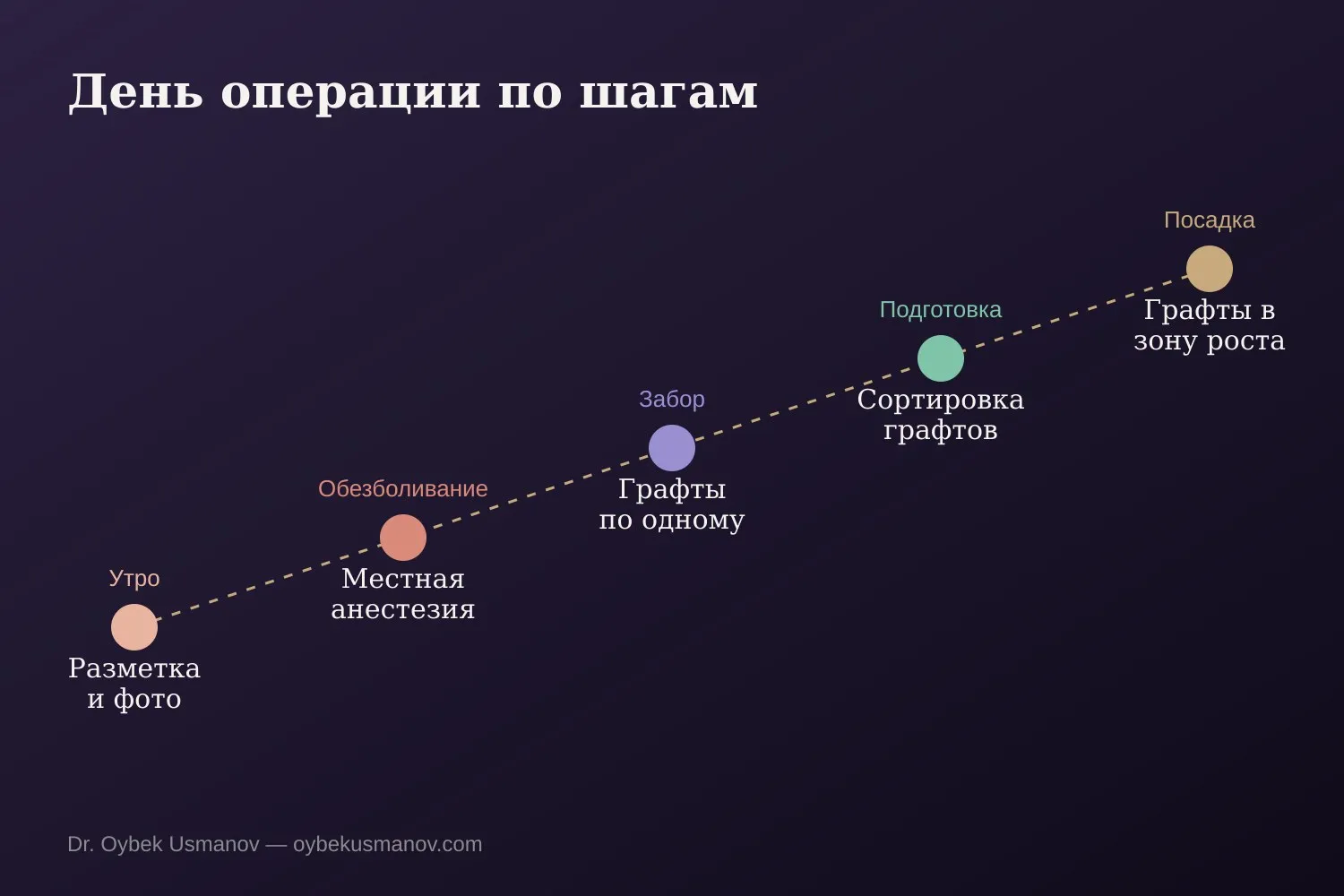 Схема дня операции пересадки волос FUE по шагам