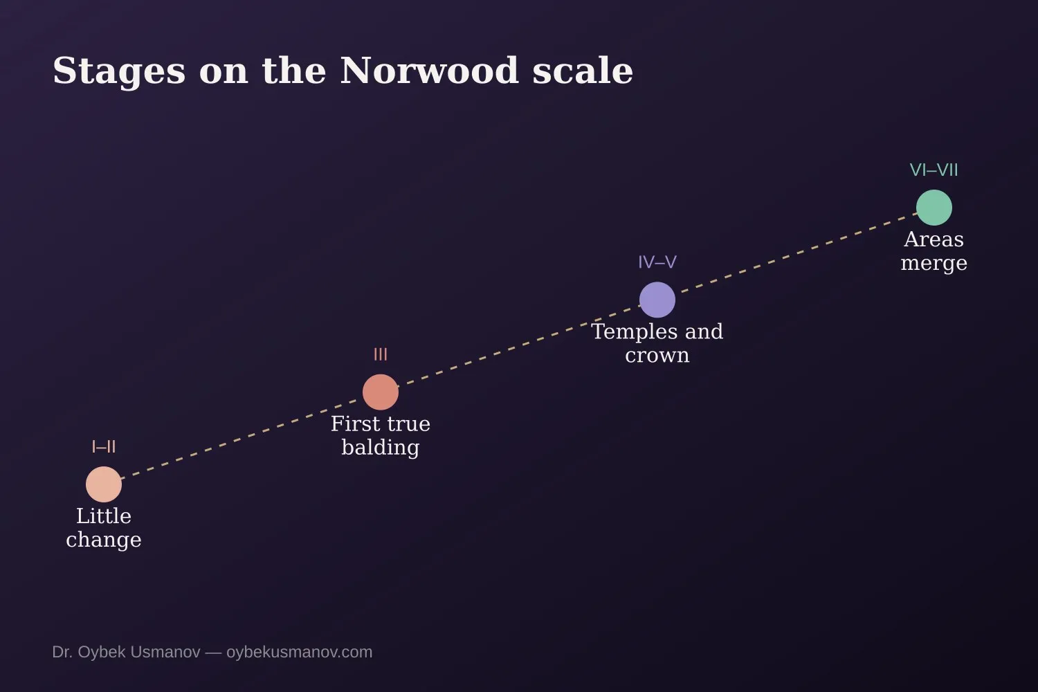 Stages of male hair loss on the Norwood scale