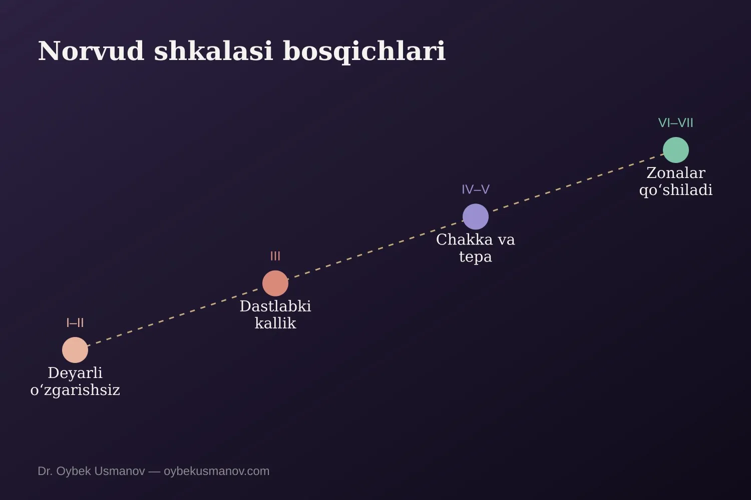 Norvud shkalasi boʻyicha erkaklar kalligi bosqichlari