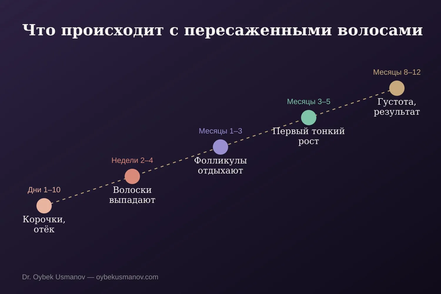 Схема восстановления пересаженных волос по этапам