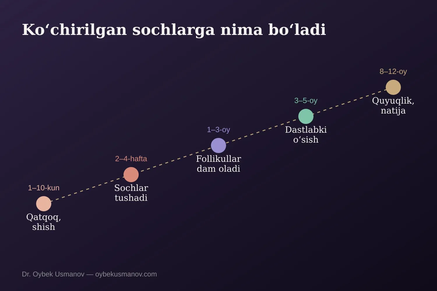 Koʻchirilgan sochlarning tiklanish bosqichlari